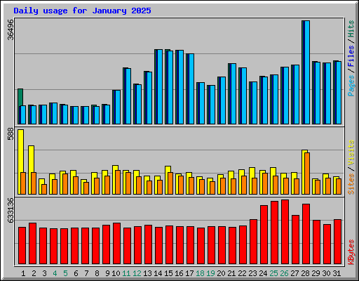 Daily usage for January 2025