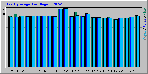 Hourly usage for August 2024