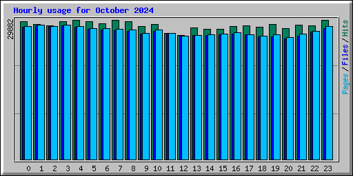 Hourly usage for October 2024