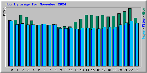 Hourly usage for November 2024