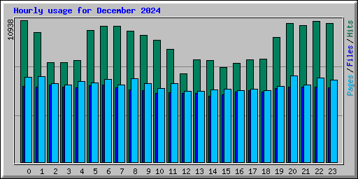 Hourly usage for December 2024