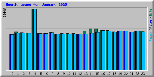 Hourly usage for January 2025