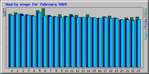 Hourly usage for February 2025