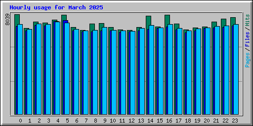 Hourly usage for March 2025