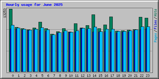 Hourly usage for June 2025