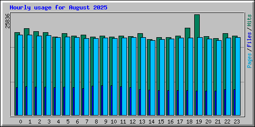Hourly usage for August 2025
