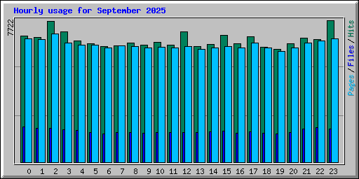 Hourly usage for September 2025