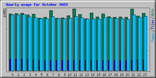 Hourly usage for October 2025