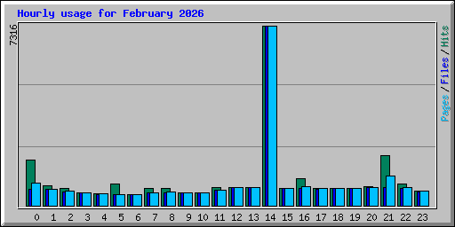 Hourly usage for February 2026