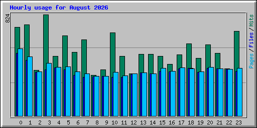 Hourly usage for August 2026